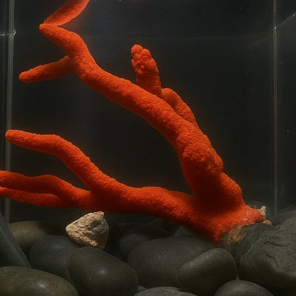 Red Tree Sponge