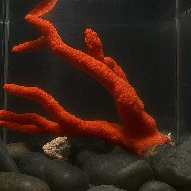 Red Tree Sponge