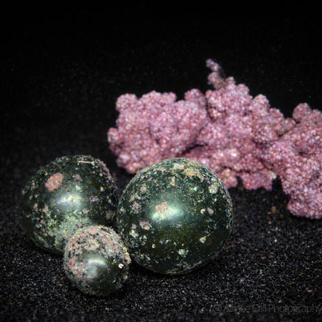 Green algae balls Bubble algae Valonia Glassy Sea Pearls on dark background with rock